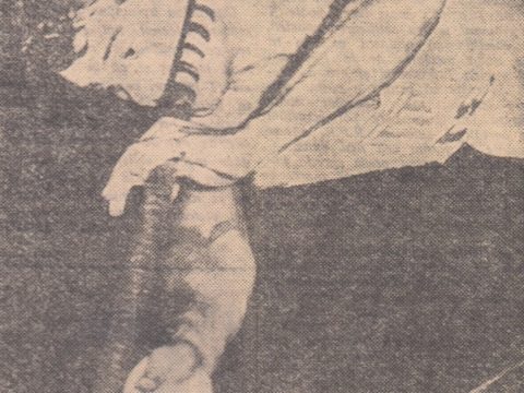 Georgios Roubanis