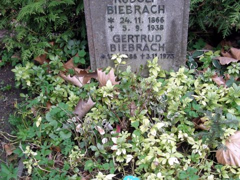 Rudolf Biebrach