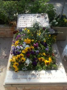 Amnon Lipkin-Shahak