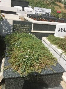 Ayten Alpman
