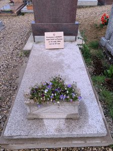 Guy François