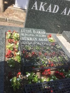 Lütfi Ömer Akad