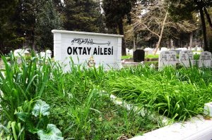 Metin Oktay