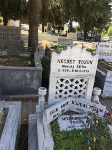 Erdal Tosun