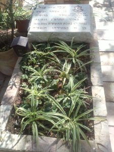 Tzvi Tzur