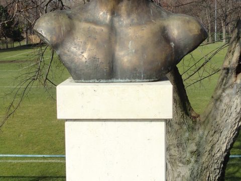 Dezső Gyarmati
