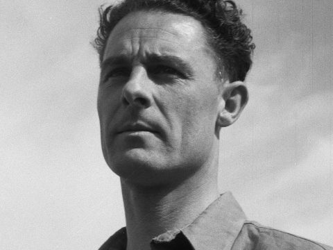 Harry Derckx