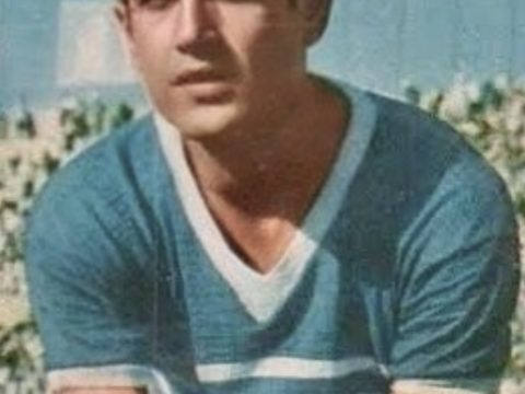 Hassan El-Shazly
