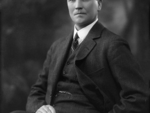 Nicolaas Havenga