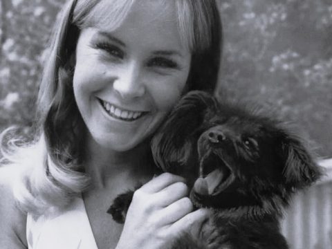 Heather North