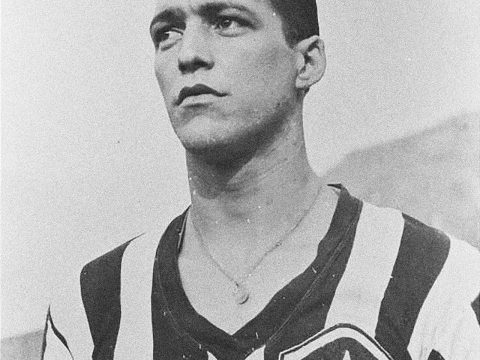 Heleno de Freitas