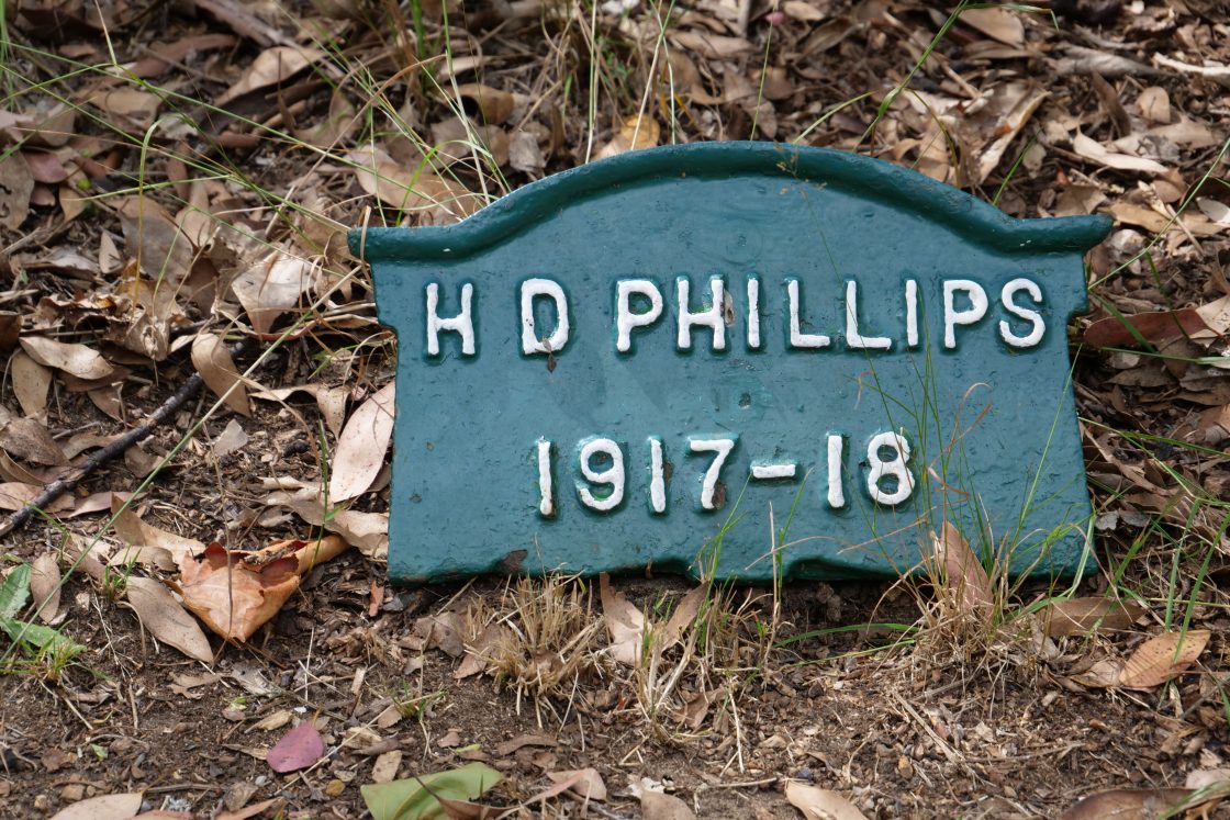 Henry F. Phillips
