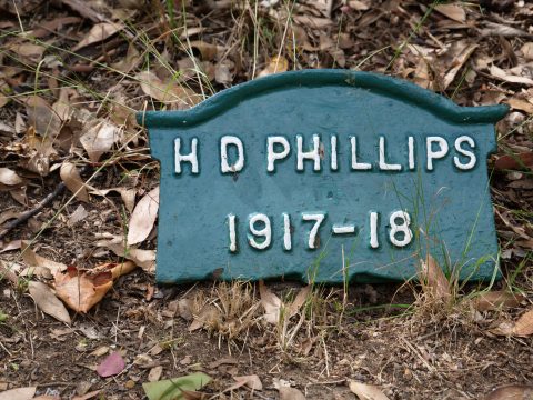 Henry F. Phillips