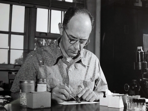 Herbert Ross