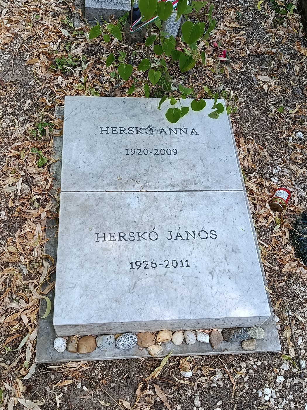 János Herskó