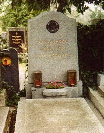Hans Holt