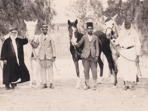 Ali II ibn Hussein