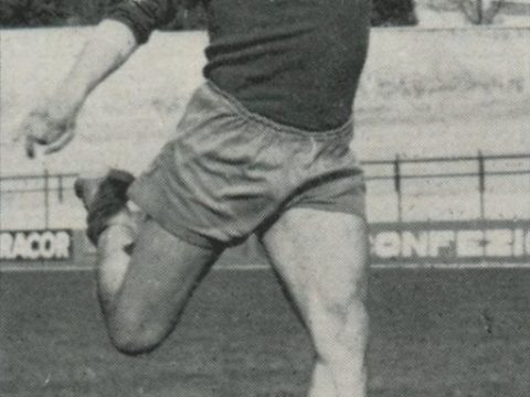 Ilario Castagner