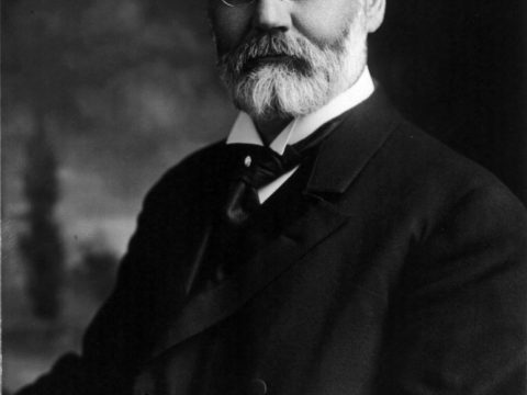 Robert Mann