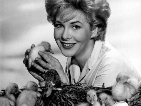 Jan Shepard