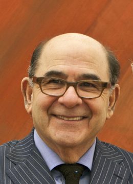 Joel Shapiro