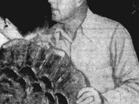 Johnnie Tolan