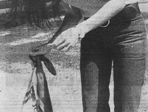 Josephine Chaplin