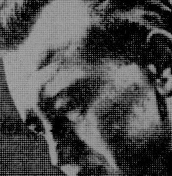Karel Husa