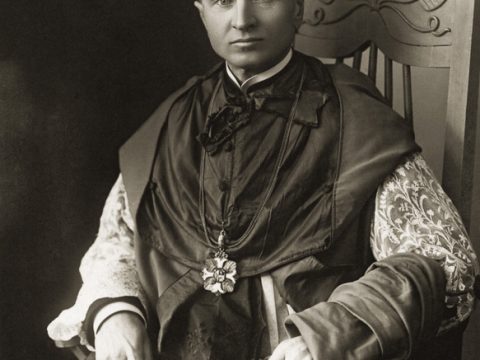 Kazimieras Steponas Šaulys