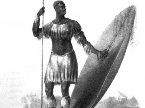 Shaka Zulu