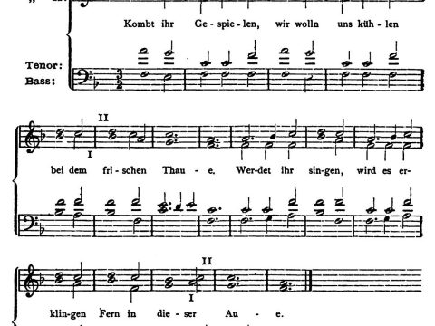 Melchior Franck