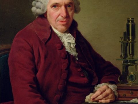 Louis-Jean-Marie Daubenton