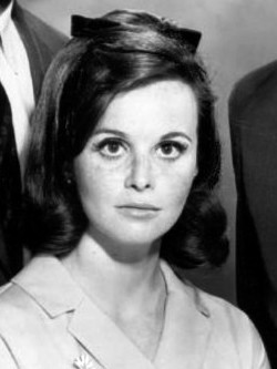 Lynn Loring