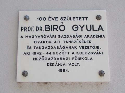 Gyula Bíró