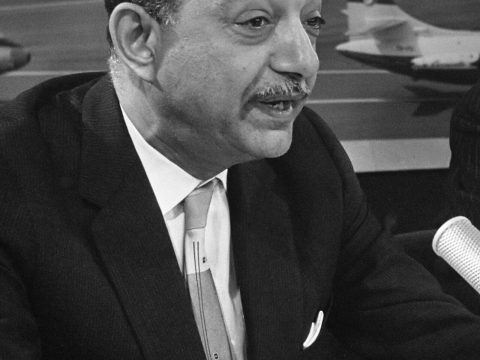 Mahmoud Riad