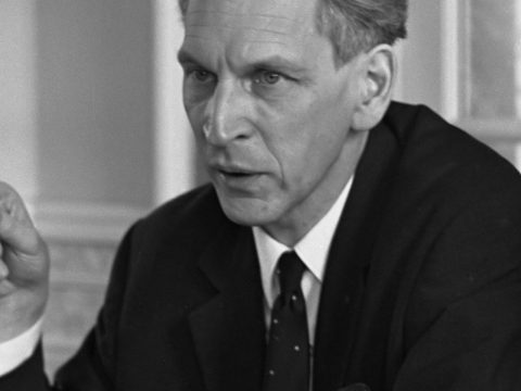 Marius Flothuis