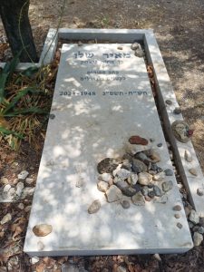 Meir Shalev