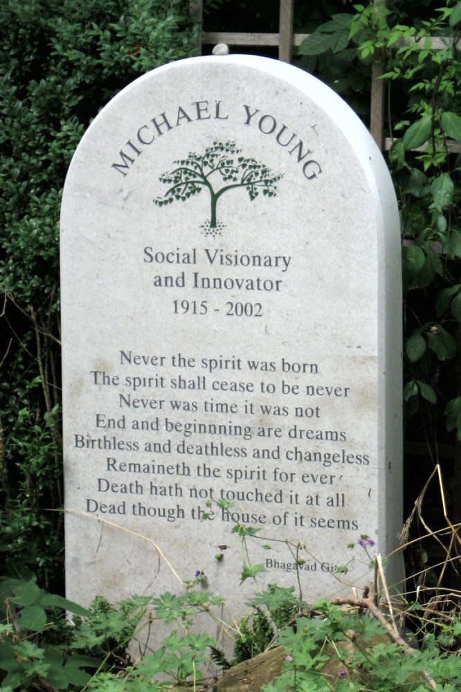 Michael Young, Baron Young of Dartington