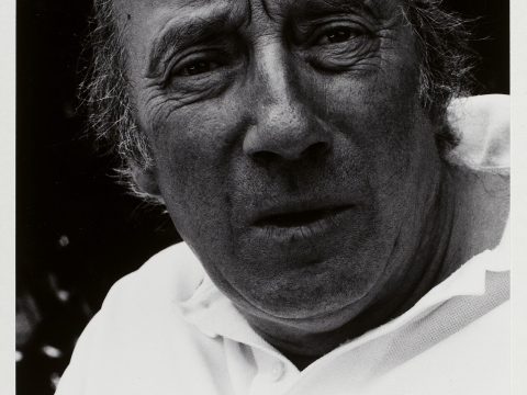 Michel Robin