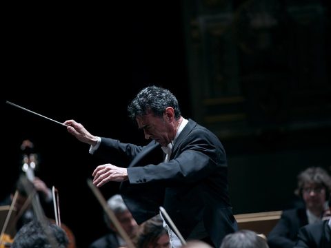 Miguel Ángel Gómez Martínez