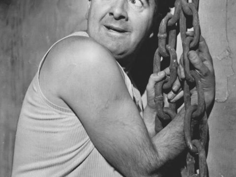Milo O’Shea