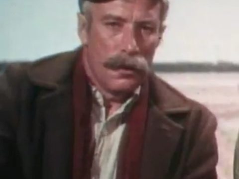 Mort Mills