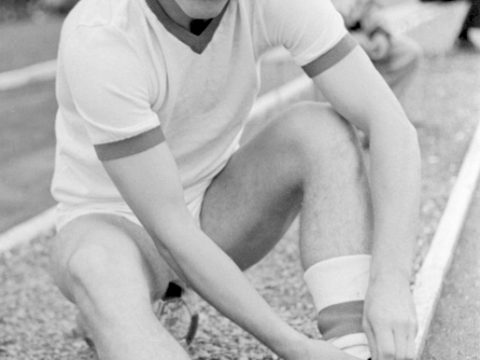 Nicolae Dobrin