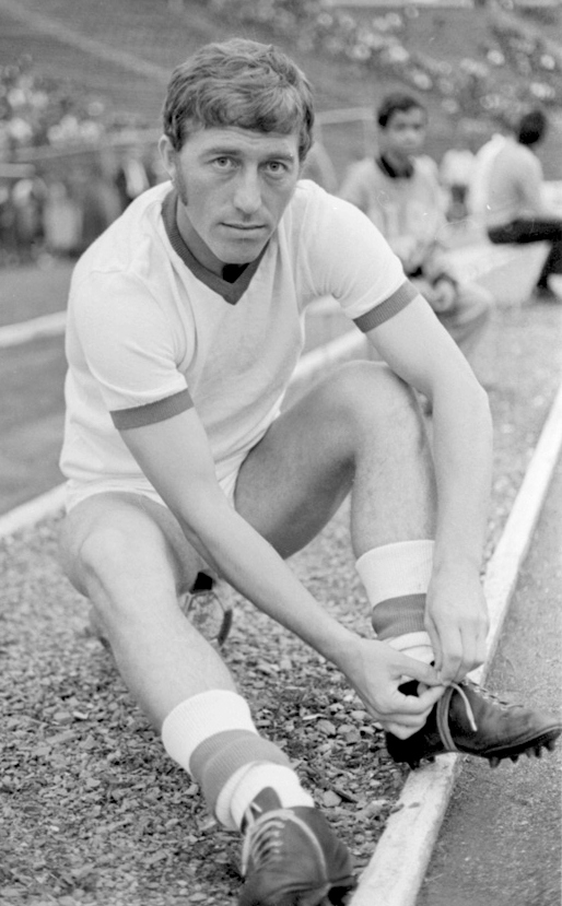 Nicolae Dobrin