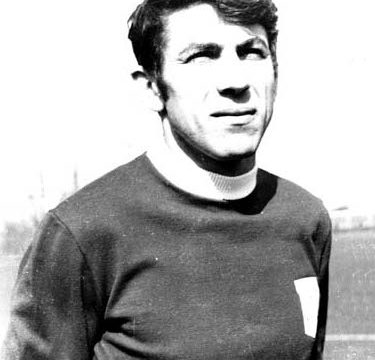 Nicolae Lupescu