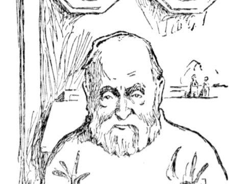 Henrik Johan Bull