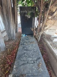 Shaike Ophir