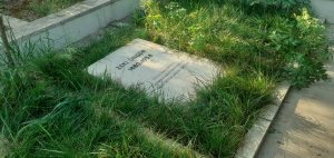 Osman Zeki Üngör