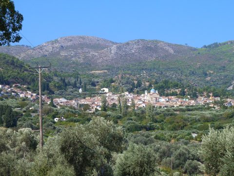 Pagondas