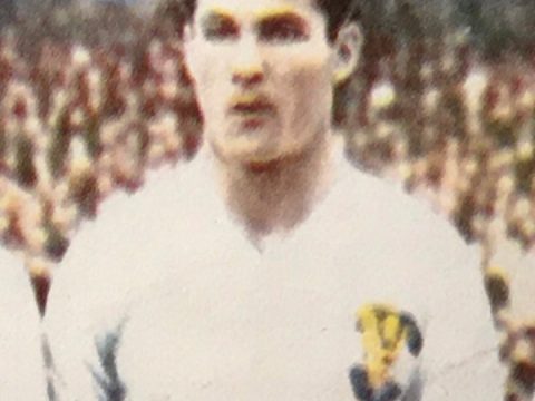 Paul Halla